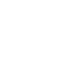 pdf_icon