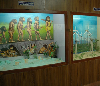 Natural Science Gallery