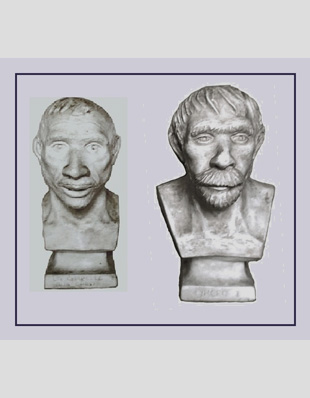 HOMO – [Plaster Casts]