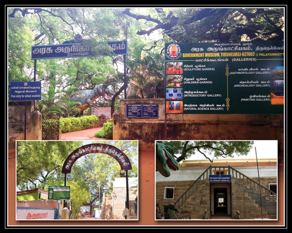 TIRUNELVELI | Government Museum