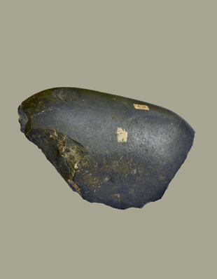 Shila or Shaligram