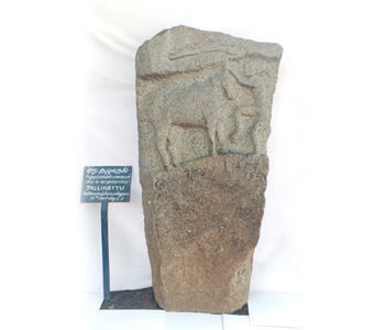 Hero Stone Depicting ‘Jallikkattu’, Peththanayakampalayam