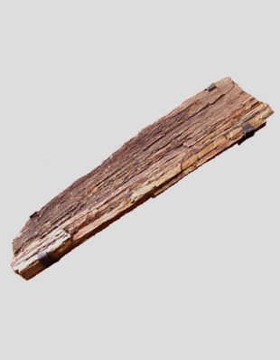 Fossil wood